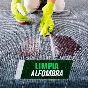 Limpia Alfombras
